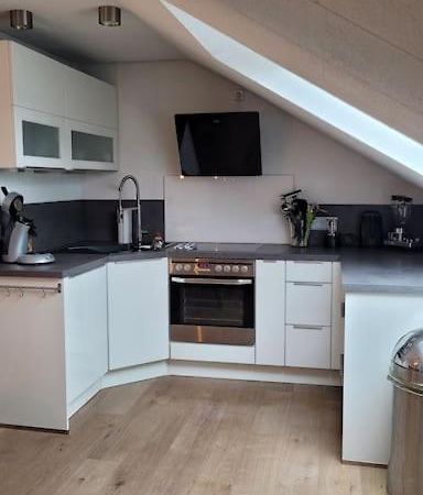 Apartment Schwarzwaldmaedel Friedenweiler Dış mekan fotoğraf