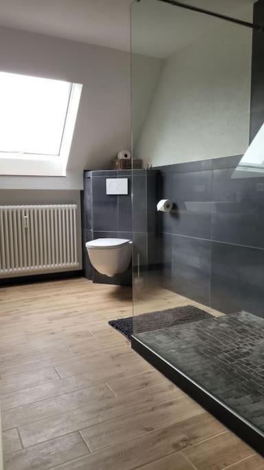 Apartment Schwarzwaldmaedel Friedenweiler Dış mekan fotoğraf