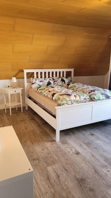 Apartment Schwarzwaldmaedel Friedenweiler Dış mekan fotoğraf